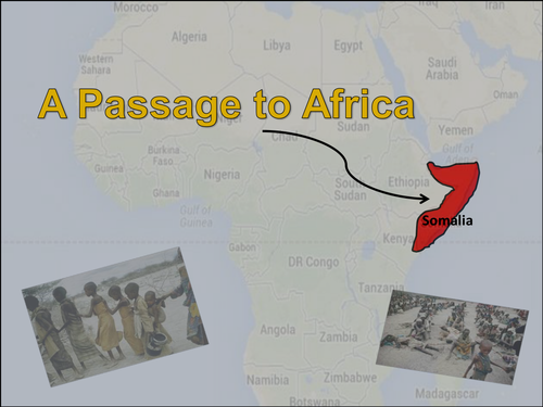 Polo is a game that essay image