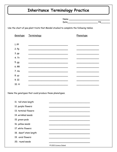 Worksheets Introduction To Genetics Worksheet inheritance activities genetics terminology and punnett squares by scienceisland teaching resources tes