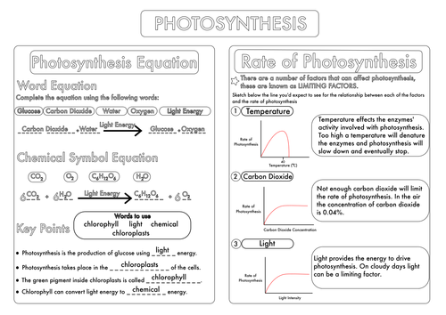 Worksheets Photosynthesis Worksheet Middle School gcse photosynthesis topic worksheets by beckystoke teaching resources tes