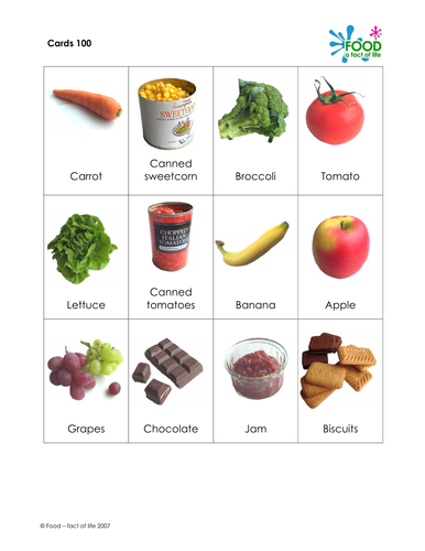 Diet Lifestyle Choices Worksheet