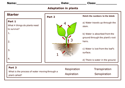 Worksheets Plant Adaptations Worksheet aqa b1 4 adaptation for survival part 1 by wondercaliban teaching resources tes
