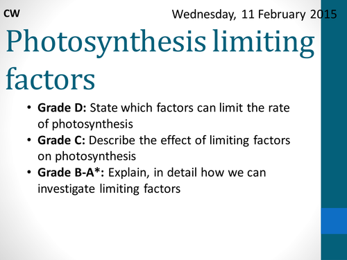 GCSE Limiting Factors by CatBuckle - Teaching Resources - TES