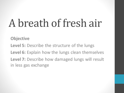 KS3 A Breath Of Fresh Air Lung Structure Teaching Resources