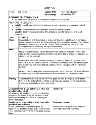 KS3 Plant Reproduction by CatBuckle - Teaching Resources - TES