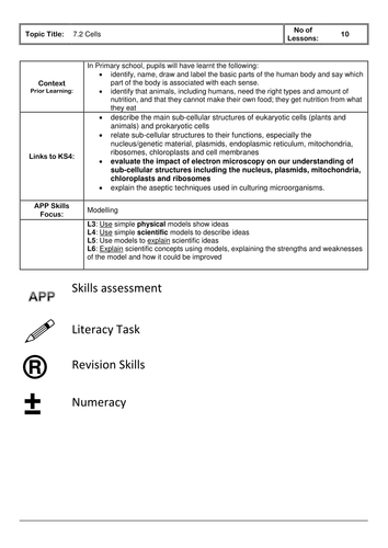 docx, 54.1 KB