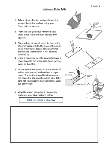 docx, 116.47 KB