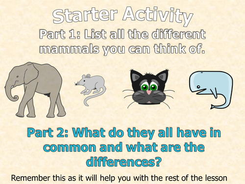 Fun Mammal Writing Lesson. Creative Writing or Big Writing VCOP + Audience Purpose Genre