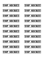 Secret Mission Writing Intervention | Teaching Resources