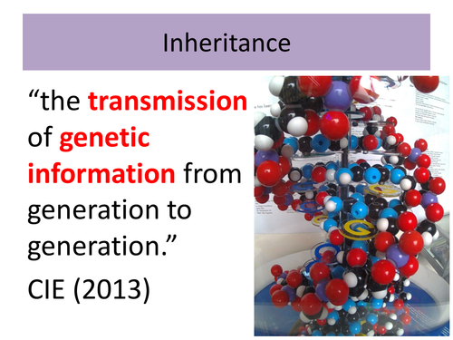 IGCSE/GCSE/Standard Grade Genetics and DNA basics PowerPoint