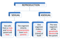 IGCSE/GCSE/Standard Grade Asexual Sexual and Plant Reproduction ...