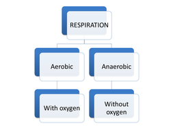 IGCSE/GCSE/Standard Grade Anaerobic respiration PowerPoint | Teaching ...