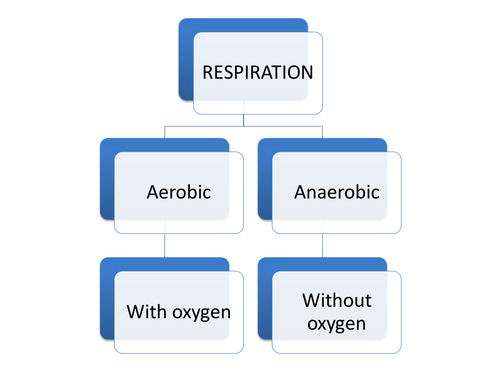 IGCSE/GCSE/Standard Grade Anaerobic respiration PowerPoint
