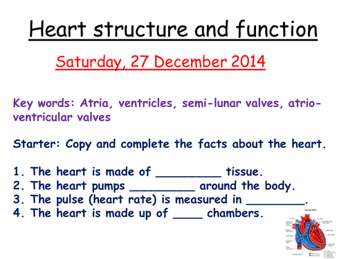 AQA B3 Heart structure and function | Teaching Resources