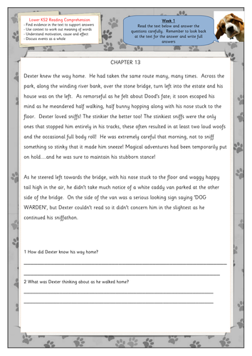 Reading comprehension - lower KS2 NEW CURRICULUM | Teaching Resources