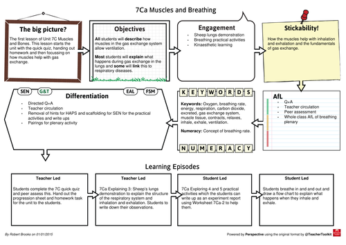 New Exploring Science 7C Muscles and Bones Example Lesson Plans ...