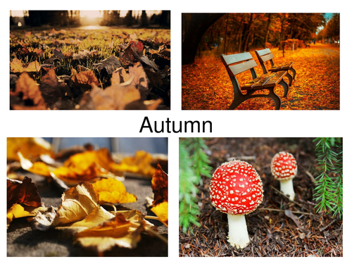 30 Autumn Photos Presentation Perfect For Displays