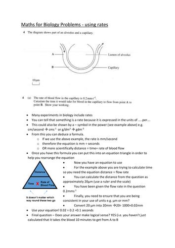 Maths for AS biology resources | Teaching Resources