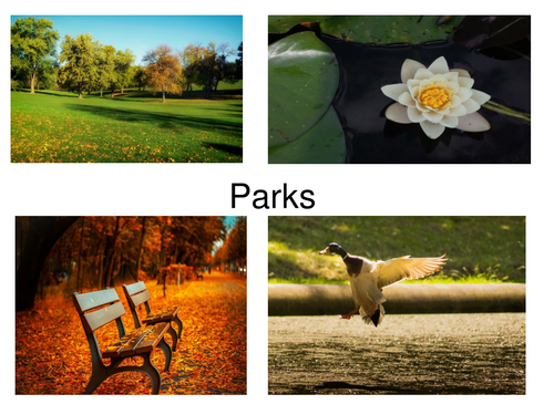 30 Colourful Park Photos Presentation. Photos also perfect for display and flash card uses.