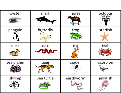 examples of vertebrates and invertebrates for kids