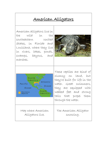 Jigsaw features Of A Report Teaching Resources