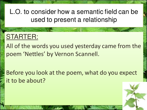 Two lessons on Nettles - Vernon Scannell | Teaching Resources