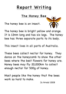 Few lines on honey bee picture