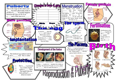 Revision maps for Key Stage 3 2 KS3 KS2 Science Biology Chemistry ...