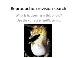 year 7 reproduction revision search teaching resources