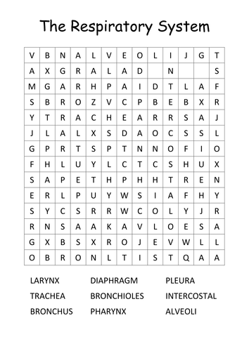 Respiratory System Wordsearch by PEHQ - UK Teaching Resources - TES