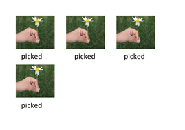 Peter Piper Preschool Activity Alliteration | Teaching Resources