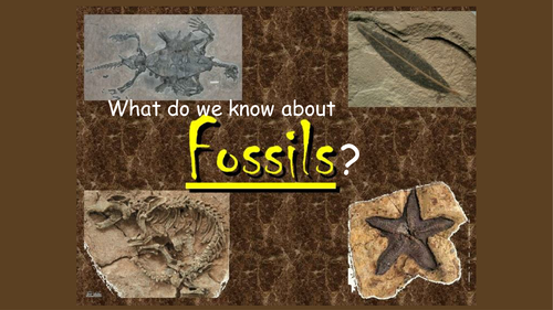 How fossils are made KS2 simple by katherineslessor - Teaching ...
