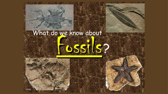 How fossils are made KS2 simple by katherineslessor - Teaching Resources - Tes