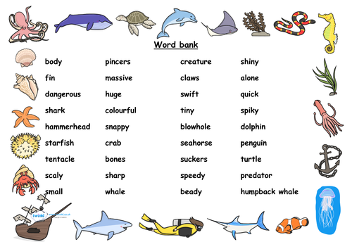 Under the Sea by rachelb003 Teaching Resources TES