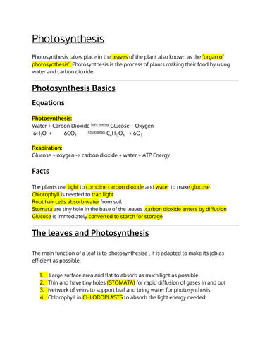 summary of photosynthesis pdf