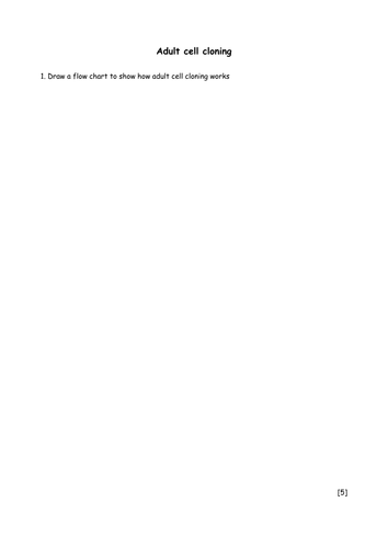 pdf, 26.24 KB