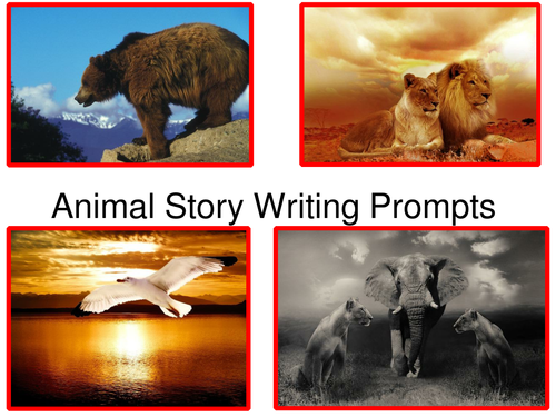 Writing about animals picture