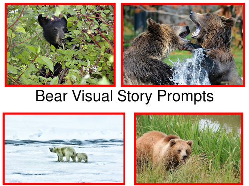 Bear Visual Story Prompts
