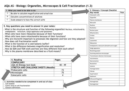 docx, 42.55 KB