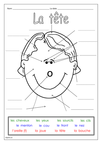 software-calculates-appearance-of-the-average-woman-in-41-countries-average-face-face