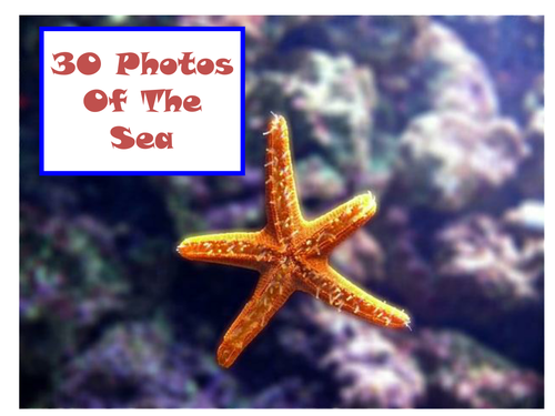 30 Photos Of The Sea