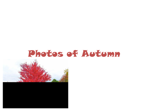 30 Photos of Autumn