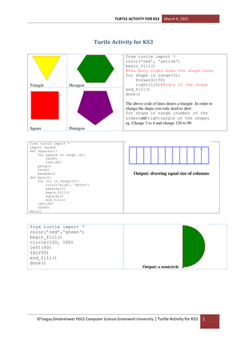 Turtle Activity for KS3 | Teaching Resources