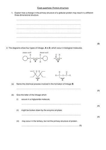 Revision on proteins | Teaching Resources