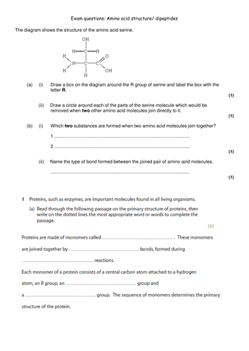 Revision on proteins | Teaching Resources