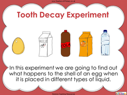 Teeth - Year 4 | Teaching Resources