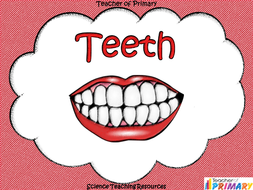 Teeth | Teaching Resources