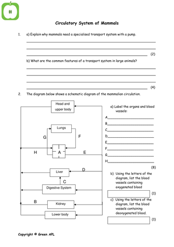 pdf, 44.61 KB