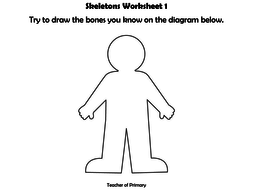 3 year animal skeletons worksheet by PowerPoint  and Skeletons  worksheets presentation