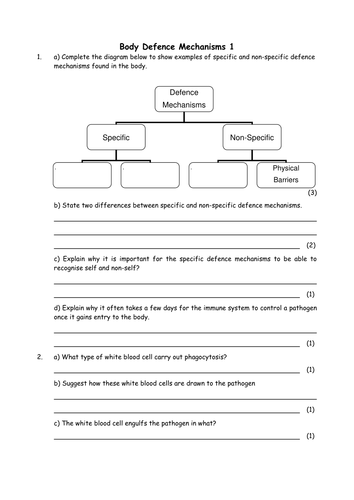 Biology: Body Defence by greenAPL - Teaching Resources - TES