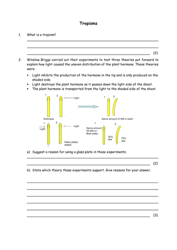 Biology: Tropisms by greenAPL - UK Teaching Resources - TES